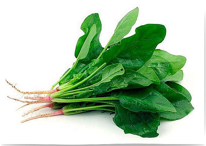 spinach for chronic fatigue