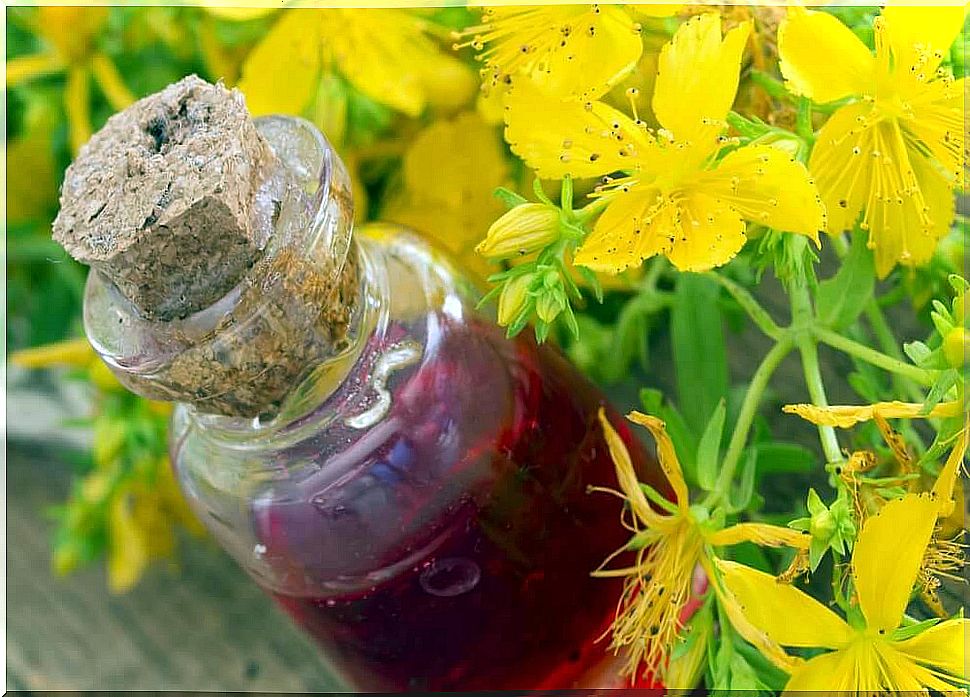 olive oil and St. John's wort to treat hemorrhoids 