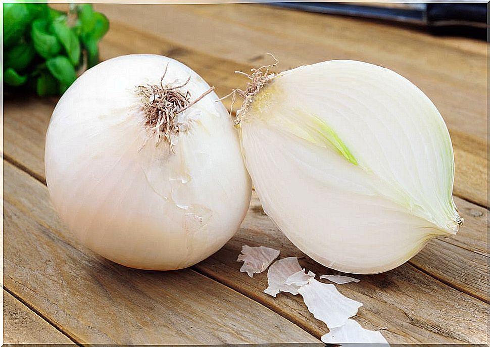 Onion to treat mouth ulcers.