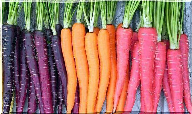 Carrots relieve colitis 