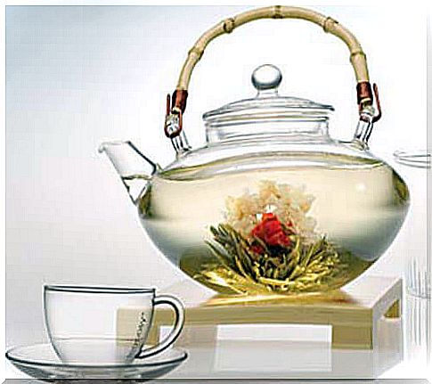 Discover the 2 natural infusions richest in magnesium: white tea