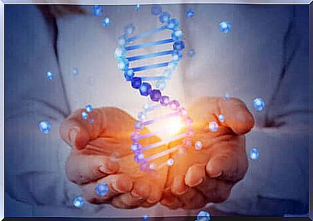 Hands are holding DNA.