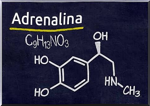 The adrenaline molecule