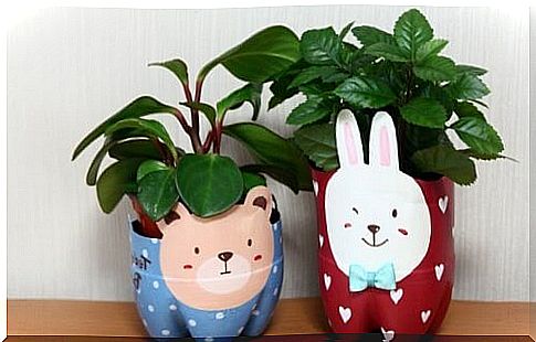 planters in recycled plastic packaging
