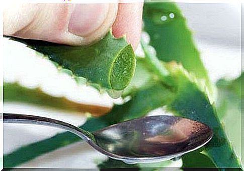 How to treat shingles naturally with aloe vera