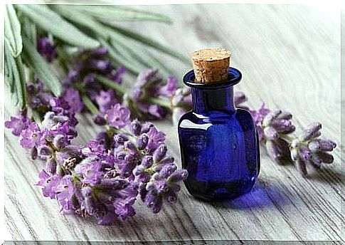 Lavender essential oil for your beauty.