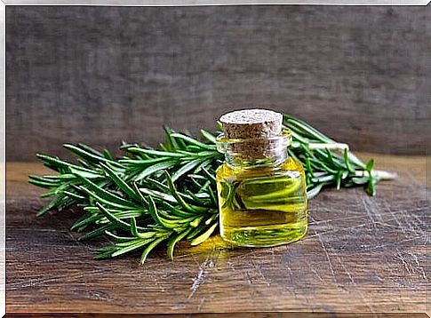 rosemary is a fat-burning spice