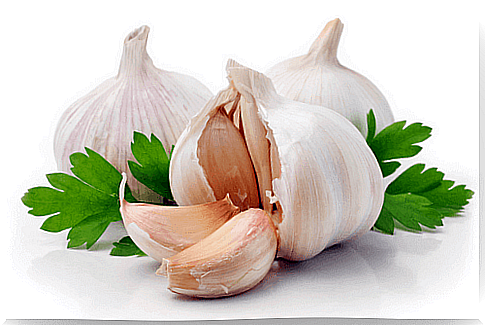 Garlic is one of the best natural antibiotics